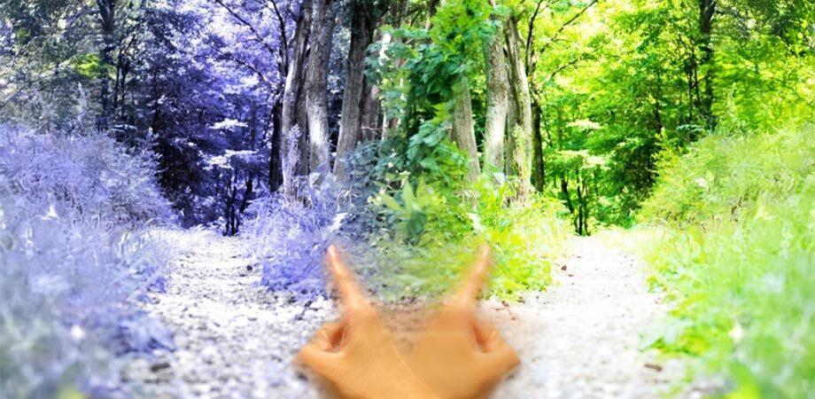 「老害さん」「人財さん」の分かれ道　～50代からの自分らしいキャリアとは～